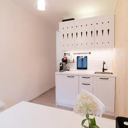 Apartmán Pr'mruzo Apartmaji
