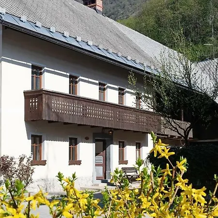 Pr'mruzo Apartmaji Appartement Bohinj