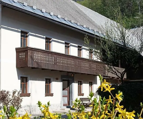Pr'mruzo Apartmaji Apartament Bohinj